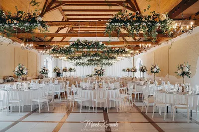 VESNA Magdalena Pruś